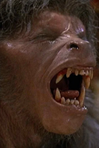 American Werewolf in London, An